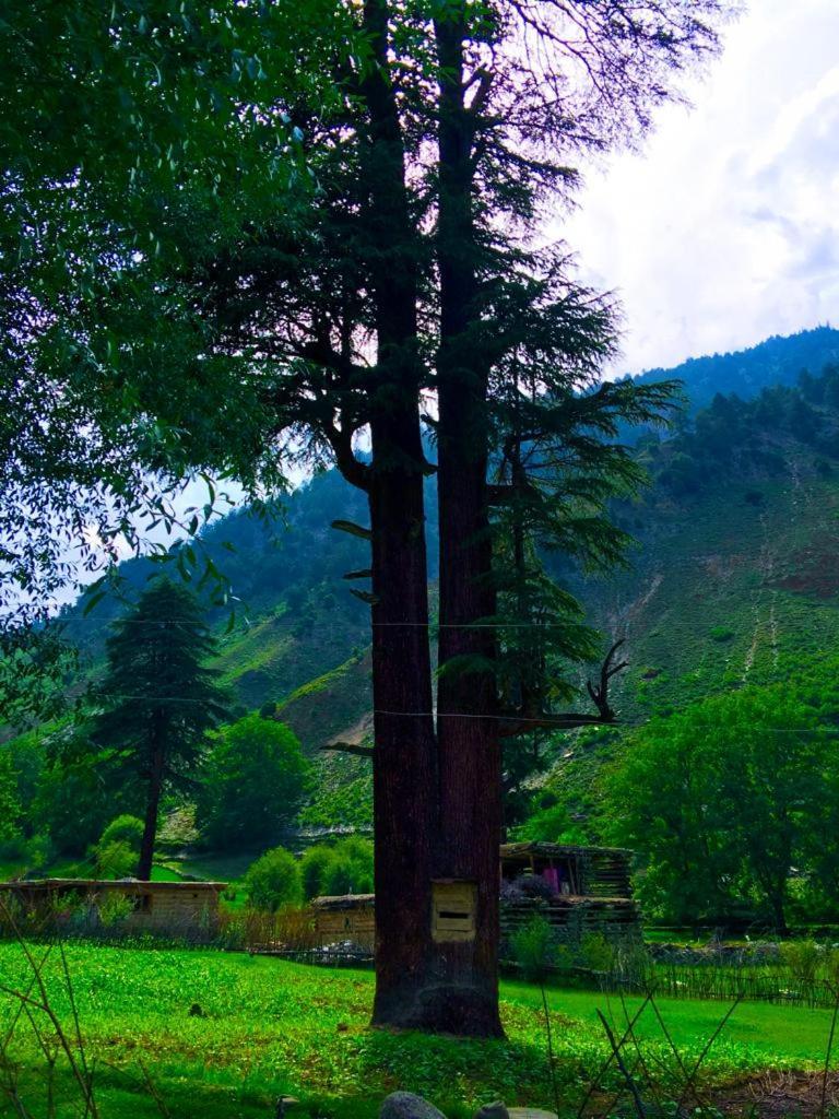 Chitral Inn Resort ภายนอก รูปภาพ